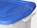 Sammel Box mit Rollen Klappgriff  (Zoom)