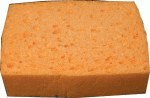 Naturschwamm