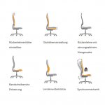 deskin Bürodrehstuhl Deluxe Viele Funktionen (Zoom)