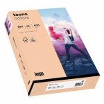 Inapa Kopierpapier, A4, 160 g, farbig lachs (Zoom)