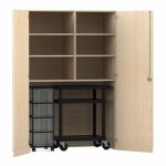 Flexeo Garagenschrank, 6 Fächer, 1 Rollcontainer, 4 Boxen, 1 Transportwagen Ahorn honig, transparent  (Zoom)