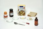 Cornelsen Experimenta Schüler-Set Mein Körper, meine Gesundheit Schüler-Set Mein Körper, meine Gesundheit 11 (Zoom)