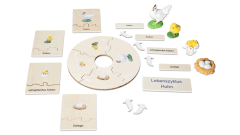 Betzold Lebenszyklen-Set Lebenszyklus Huhn (Zoom)