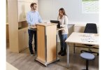Dusyma FlexDesk4  (Zoom)